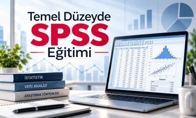 Temel Düzeyde SPSS Eğitimi